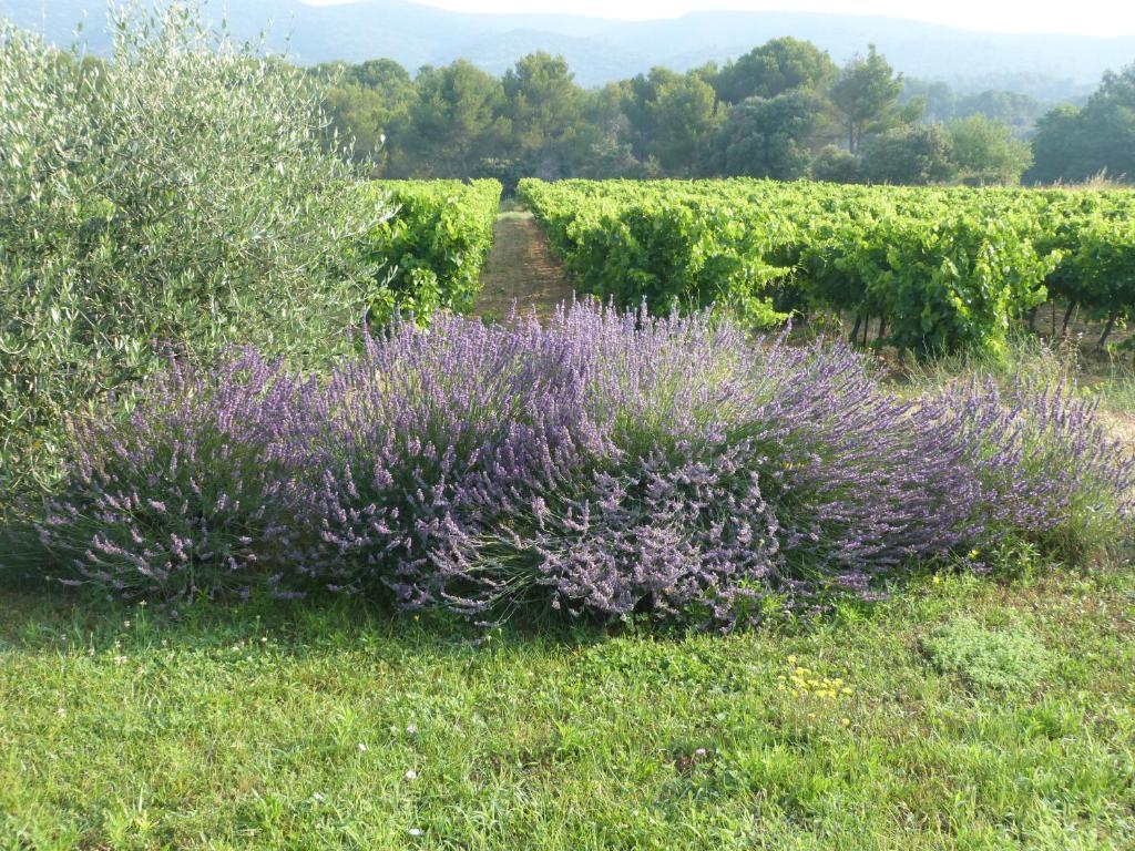 Puyvert Maison D'Hotes Bastide St Victor A 2,5 Kilometres De Lourmarin מראה חיצוני תמונה